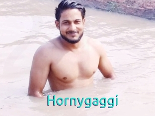 Hornygaggi