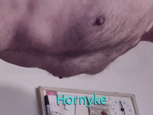 Hornyke