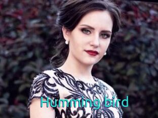 humming_bird 21 sextury Link