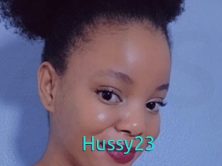 Hussy23