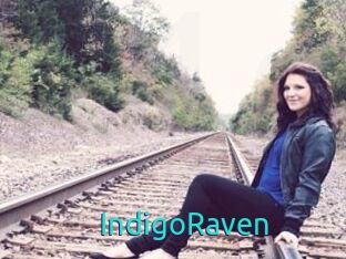 IndigoRaven