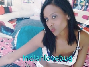 Indianlovebug