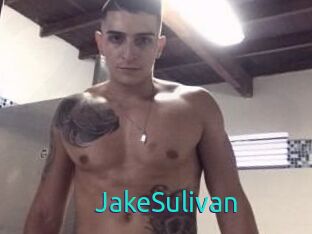 Jake_Sulivan