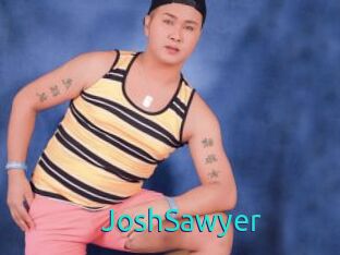 JoshSawyer