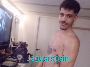 Jaguarspain