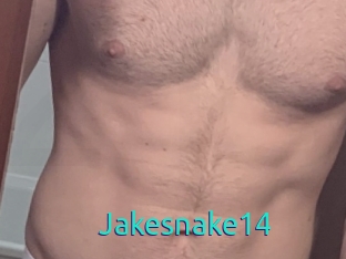 Jakesnake14