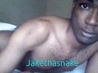 Jake_tha_snake