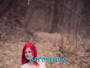 Kerosynee