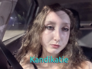 Kandikatie