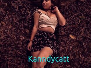 Kanndycatt