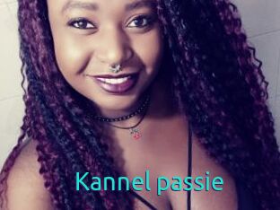 Kannel_passie