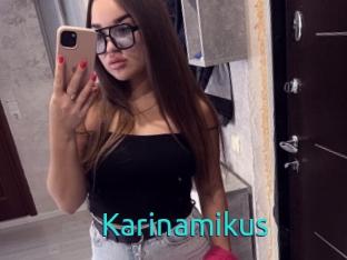 Karinamikus