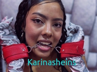 Karinasheins