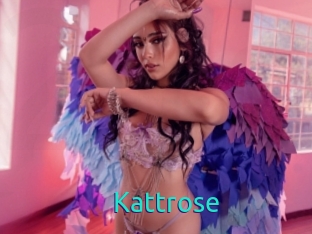 Kattrose