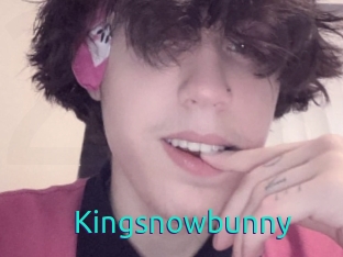 Kingsnowbunny