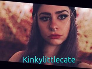 Kinkylittlecate