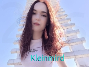 Kleinmird