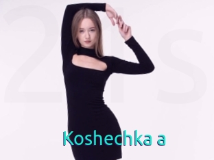 Koshechka_a