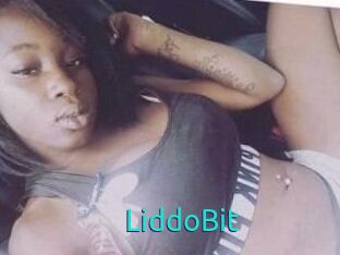 LiddoBit