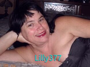 Lilly377
