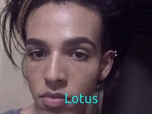 Lotus