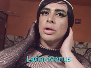 Ladanivenus