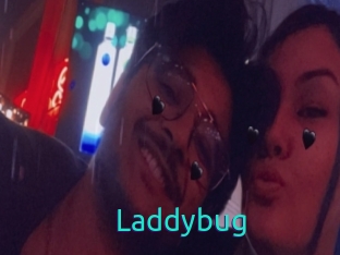 Laddybug