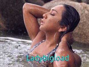Ladybigload