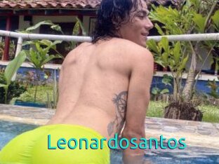 Leonardosantos