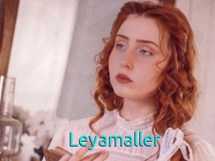 Leyamaller