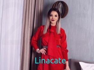 linacate 21 sextury Link