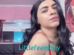 Littlefeemboy