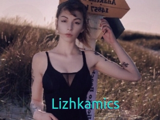 Lizhkamics