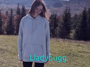 Lladybugg