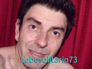 Lobosolitario73