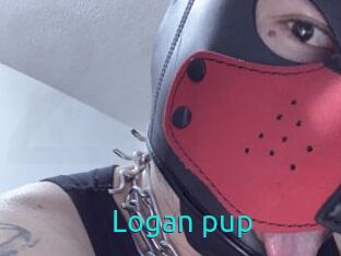 Logan_pup