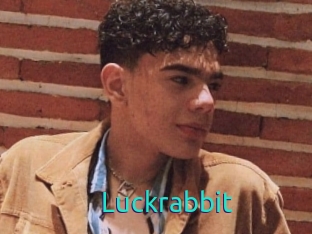 Luckrabbit