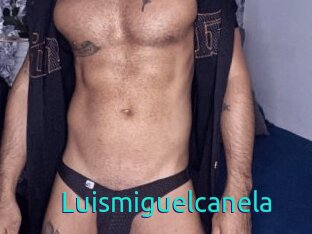 Luismiguelcanela