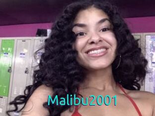 Malibu2001