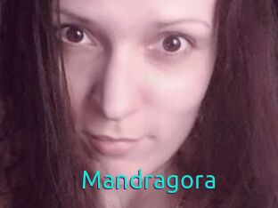 Mandragora