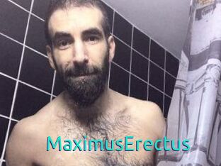 MaximusErectus