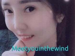 Meetyouinthewind