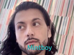 Mintboy
