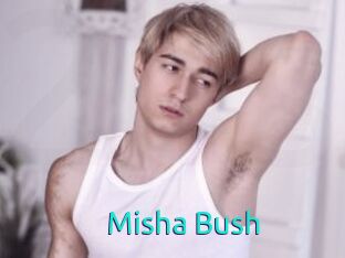 Misha_Bush