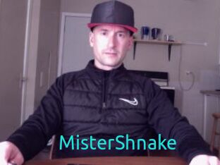 MisterShnake