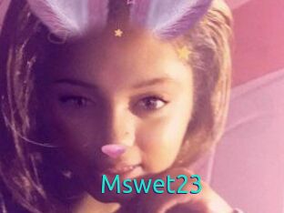 Mswet23