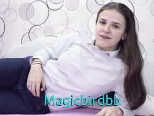 Magicbirdbb