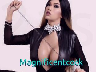 Magnificentcock