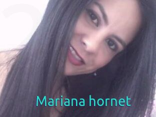 Mariana_hornet