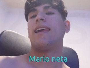 Mario_neta